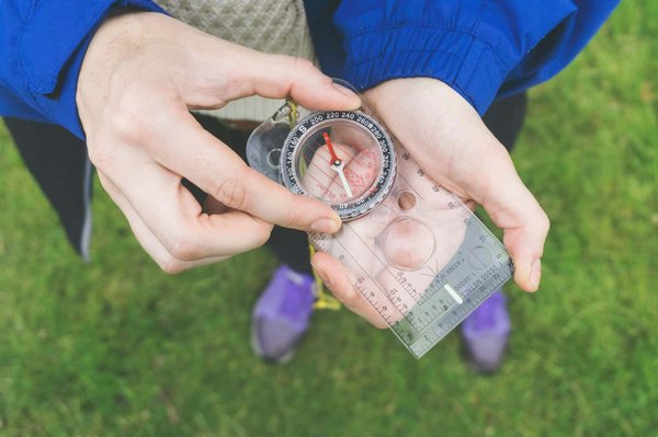 Quelles croisières offrent des randonnées pour découvrir les forêts de séquoias en Californie?